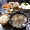 먹는데에 진심인 여시가 쓰는 작년 한해동안 3번 이상 재방문한 맛집 (서울,분당,인천,대전,제주) 이미지