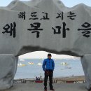 왜목오토캠핑장 Daum카페