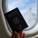 11545-11-32-81 | 호주 시드니 직항 항공권 젯스타 티웨이 항공 이코노미 비교 후기