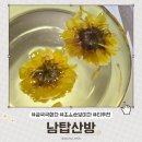 남탑산방
