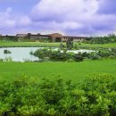 타이거골프클럽 이미지