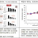 황금미소