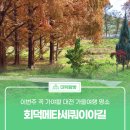 (주)회덕 이미지