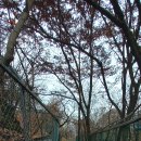 시인천상병공원 이미지