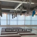 비다요가