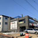 천성회타운/가덕도천성동 회센타 | 가덕도 맛집, 제대로 요리해주는 회초장집 "고고상회"