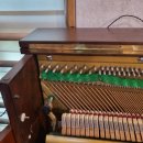 아람나무유치원 이미지