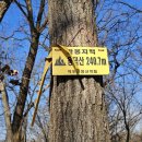 문의 장군봉산성文義 將軍峯山城 Daum카페
