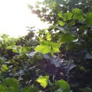 우곡초등학교 이미지