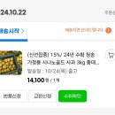 지금 사과는 시나노골드야 3kg 중대과 14,100원 이미지