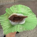 과일짱과일도시락원주점 | 원주 모찌이야기 과일찹쌀떡 디저트 맛집 딸기머스캣 내돈내산 후기