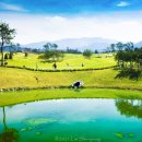 옥과골프장 이미지