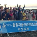 월정자율관리공동체 네이버블로그
