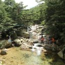 시계탑삼거리 화장실 이미지