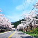 운문가는길 이미지