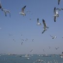 이충레포츠공원 네이버블로그