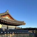 오복민박 이미지