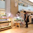 호남상회 이미지