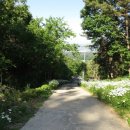 쉬자하우스 이미지