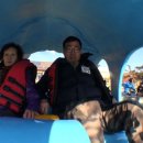 백년오리 이미지