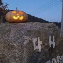 다시캠핑장