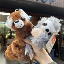 Big City L | [호주 시드니] 7박9일 여행 일정추천, 비용공유(2)