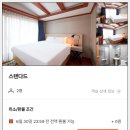 속초시장닭강정광장 이미지