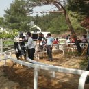 대전승마장 이미지