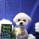 쿠앤키 네이버블로그