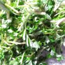 자연산바다 이미지