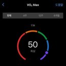 호수공원 10로 이미지