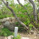 북면017 | 백두대간 (한계령~미시령~진부령)