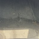 코끼리 세차장