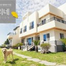 채우리네 이미지