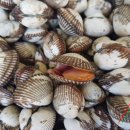 벌교택배 이미지