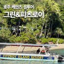 그린아일랜드 | 호주 여행 추천! 케언즈 피츠로이 아일랜드 & 그린 아일랜드 모두 다녀온 후기 (+케언즈 투어가격)