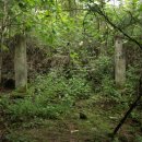 대붕초등학교 이미지