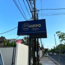 HIPPO | [발리 사누르 한인 다이브샵] 발리 스쿠버다이빙, 프리다이빙은 히포 다이빙 발리 Hippo Diving Bali