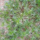 민지네 농장 이미지