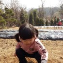 서율농장 Daum카페