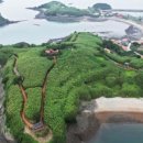 대숲사이 이미지