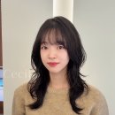 세실미용실 - 송파구 성내천로8길 8 | 세실미용실