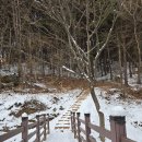 치악산둘레길 11코스 한가터길 | 치악산둘레길11코스 한가터길도보코스