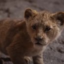 라이온킹 이미지