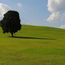 올림픽공원 이미지