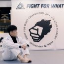 코리아유도체육관(181) | 파이트포왓 광운대 X 청량리 주짓수 합동훈련 2025.08.22 석계 주짓수 광운대 유도