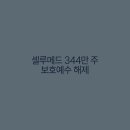 (주)셀루메드 네이버블로그