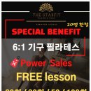 필라스타 이미지