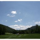 용평 버치힐골프클럽 이미지