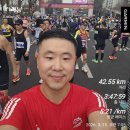 동아냉동 | 2026 서울동아마라톤 완주 후기